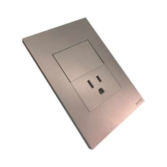 Toma + Interruptor Silver Luxury