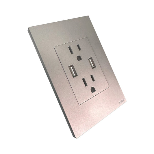 Toma Doble Polo Tierra + 2 USB Silver Luxury