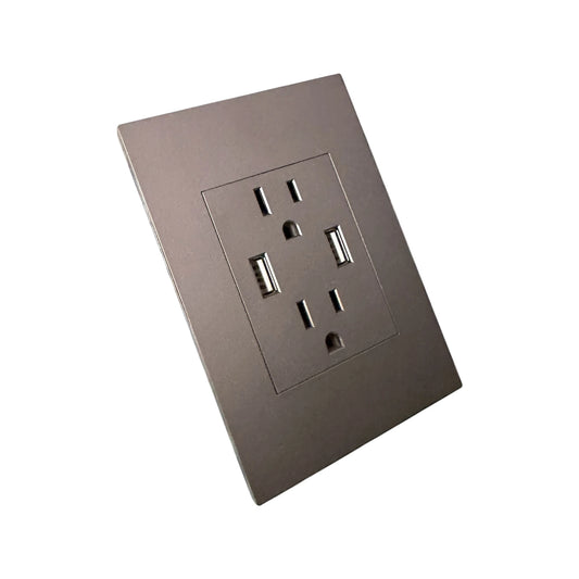 Toma Doble Polo Tierra + 2 USB Silver Luxury