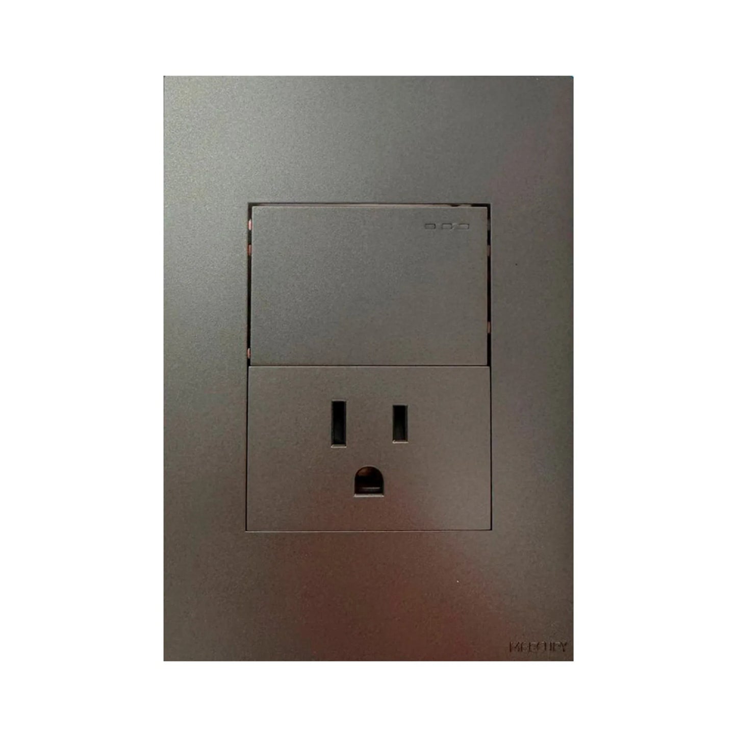 Toma + Interruptor Silver Luxury