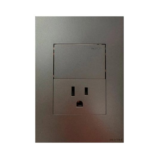 Toma + Interruptor Silver Luxury