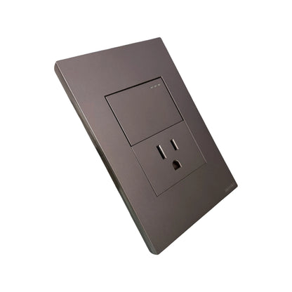 Toma + Interruptor Silver Luxury