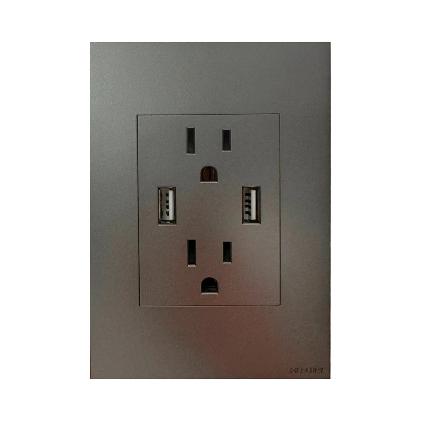 Toma Doble Polo Tierra + 2 USB Silver Luxury