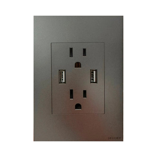 Toma Doble Polo Tierra + 2 USB Silver Luxury