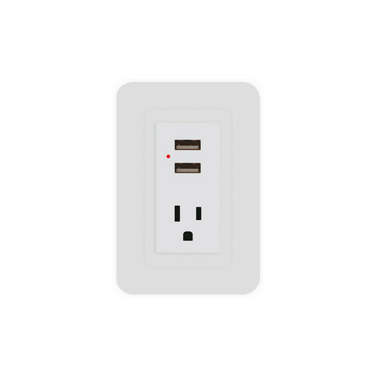 Toma Sencillo Polo a Tierra + USB x2 Blanco