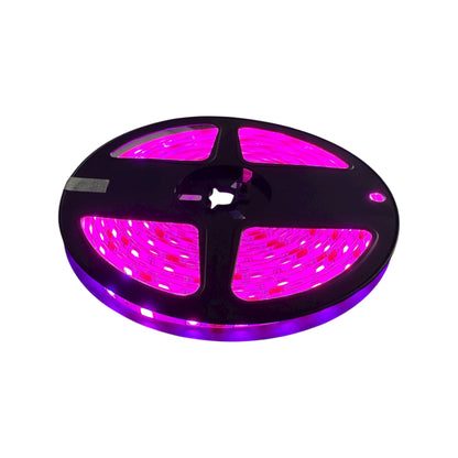 Cinta LED 12V Siliconada 5M Fucsia