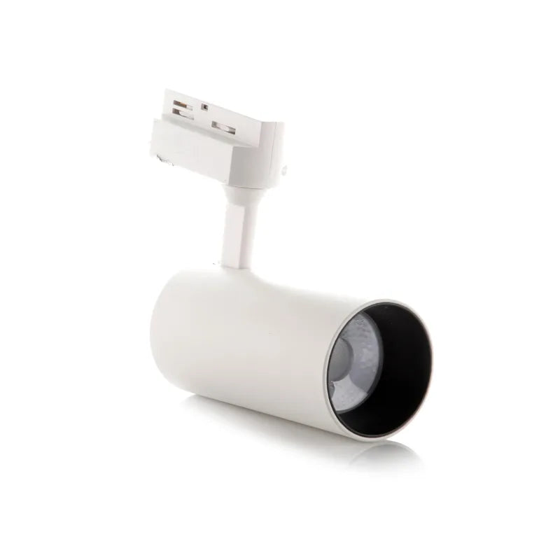 Spot LED Liso Blanco 30W Luz Blanca